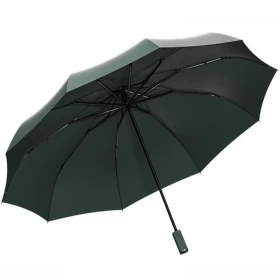 Зонт XiaoMi Zuodu Full Automatic Umbrella Led, Зелёный (ZD107-LV)