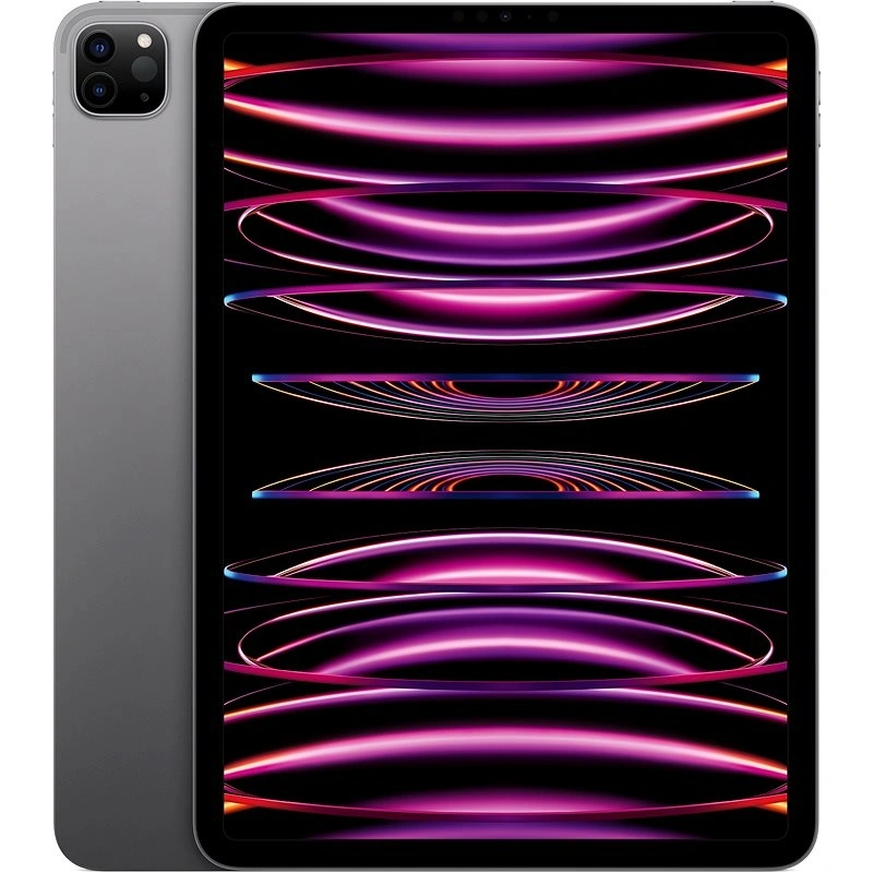 Apple iPad Pro 11" (2022) Wi-Fi+Cellular 512Gb Space Gray  (MNYG3). Фото 1