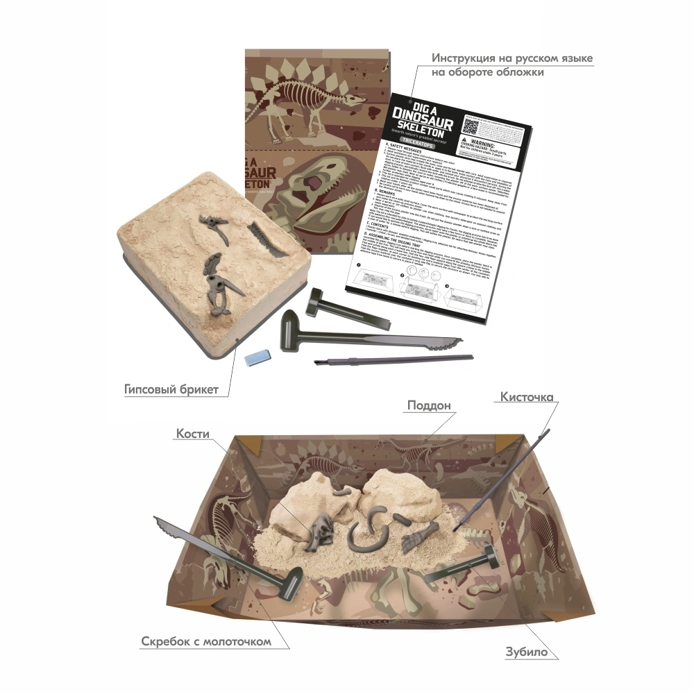 Набор 4M Скелет Трицератопса 00-03228. Фото 2
