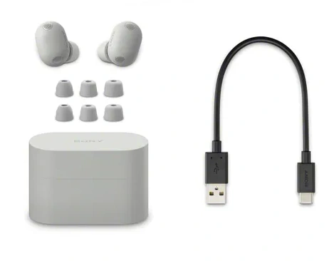 Беспроводные наушники Sony WF-1000XM6/SC с шумоподавлением, Серебристые. Фото 5