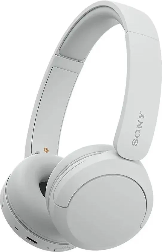 Беспроводные наушники Sony WH-CH520, White. Фото 1