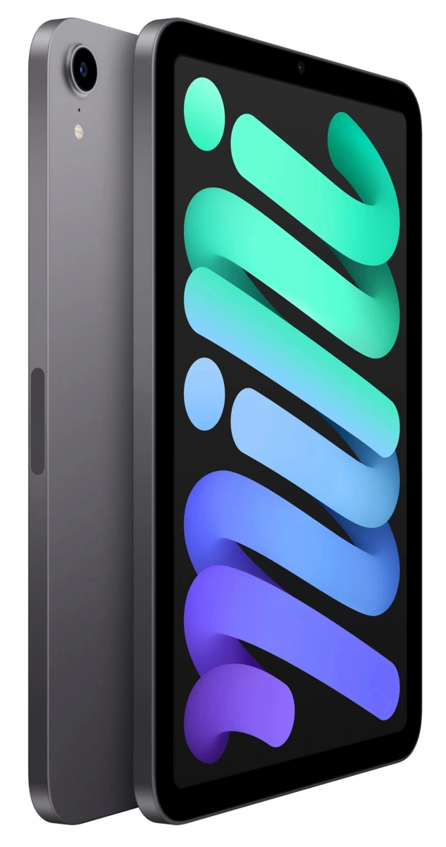 Apple iPad mini (2021) Wi-Fi 64Gb Space Gray (MK7M3). Фото 2