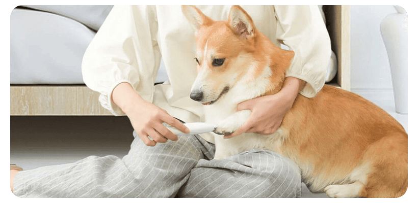 Pawbby-Pet-Small-Area-Clippers-05